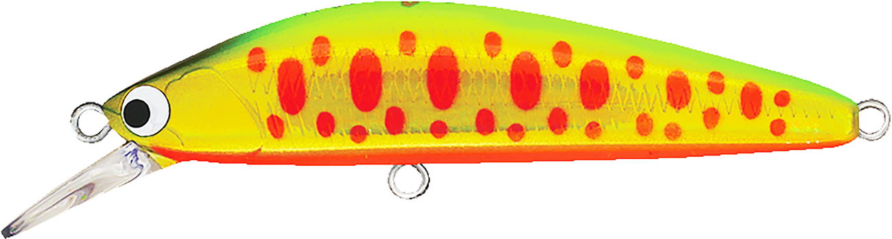 ヴードゥージャーク53S | PRODUCT | ポジドライブガレージ