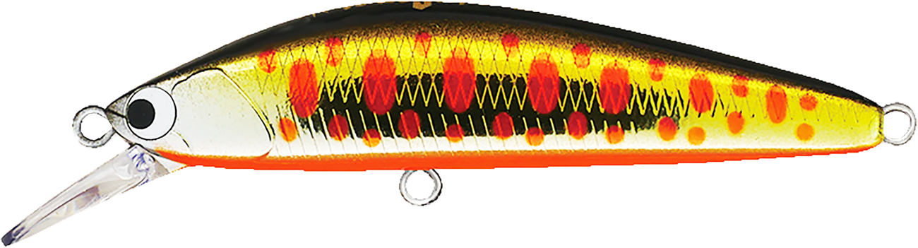 ヴードゥージャーク53S | PRODUCT | ポジドライブガレージ