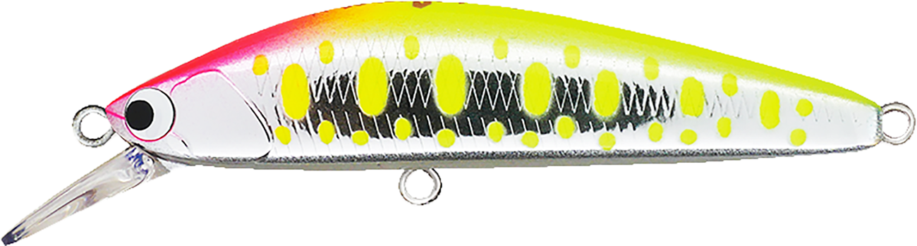 ヴードゥージャーク53S | PRODUCT | ポジドライブガレージ